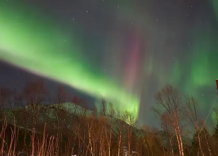 Privatunterkunft Idylliske Sigerfjorden *